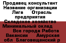 Продавец-консультант › Название организации ­ Лига-1 › Отрасль предприятия ­ Складское хозяйство › Минимальный оклад ­ 25 000 - Все города Работа » Вакансии   . Амурская обл.,Благовещенский р-н